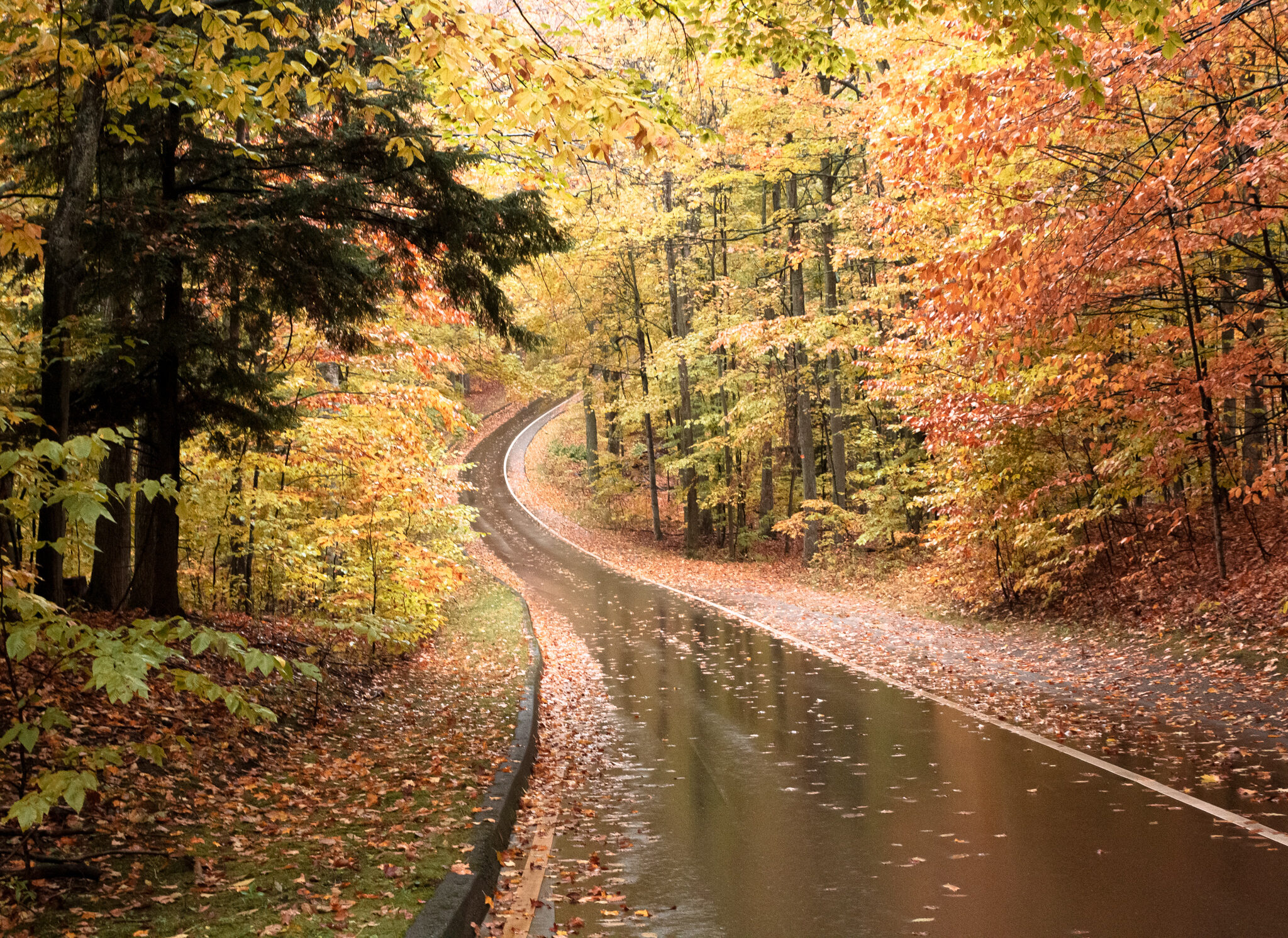 Sleeping Bear Dunes in the Fall