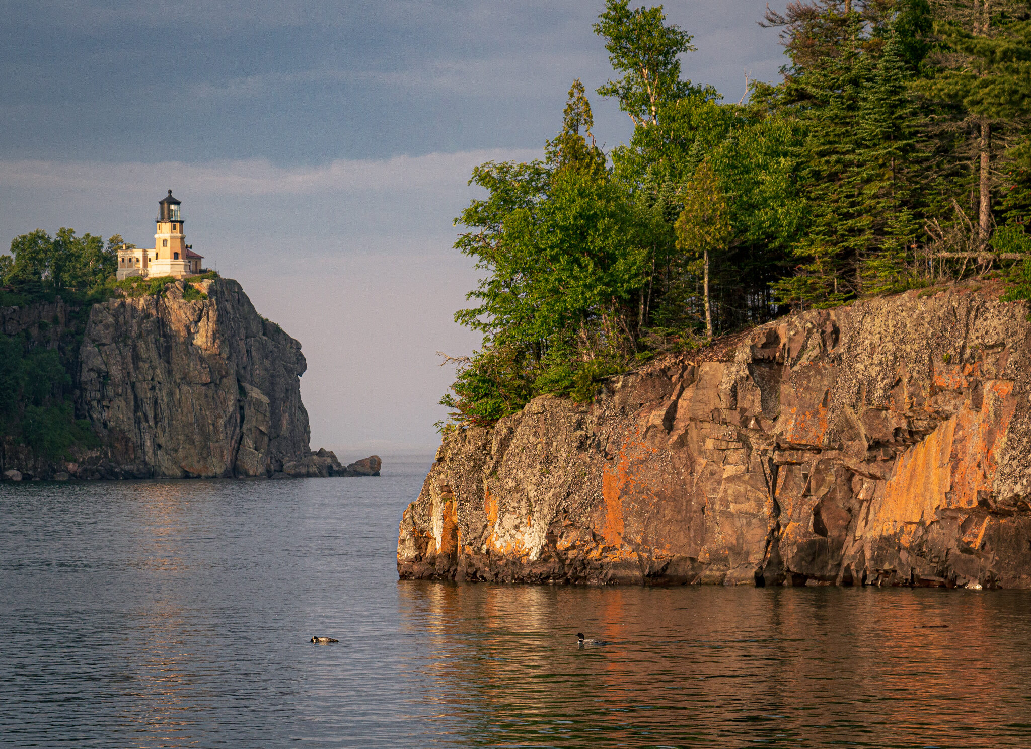 Image of a rocky shore on Lake Superior with loons in the water. In the backgrounders is Split Rock Lighthouse on a cliff overlooking Lake Superior.