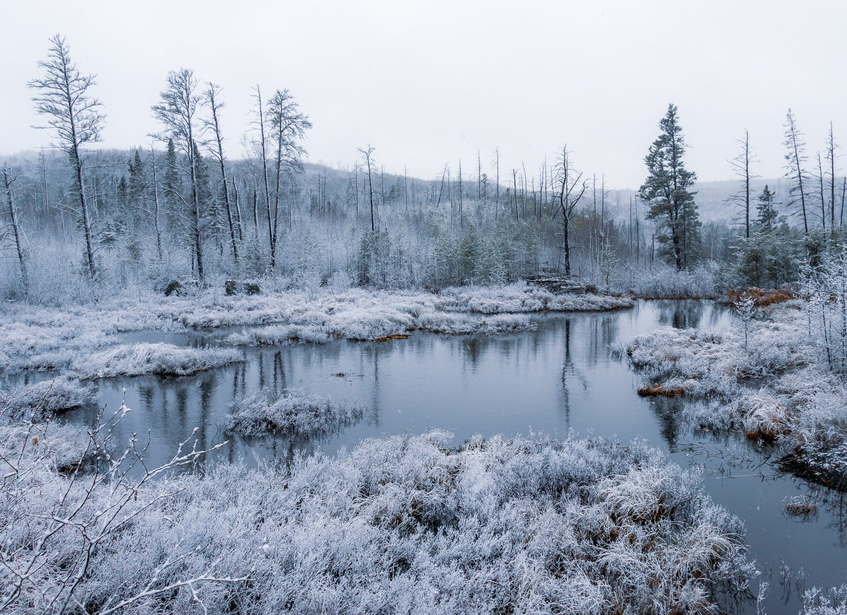 image of first frost and snow non the gunflint trail near Grand Marais Minnesota
