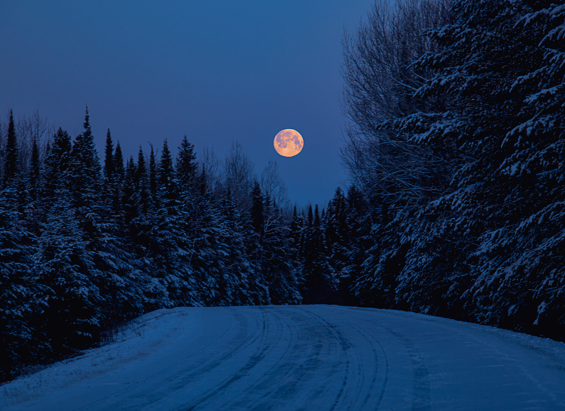 a full moon rises over the snowy gunflint trail on the north shore of Minnesota in the winter