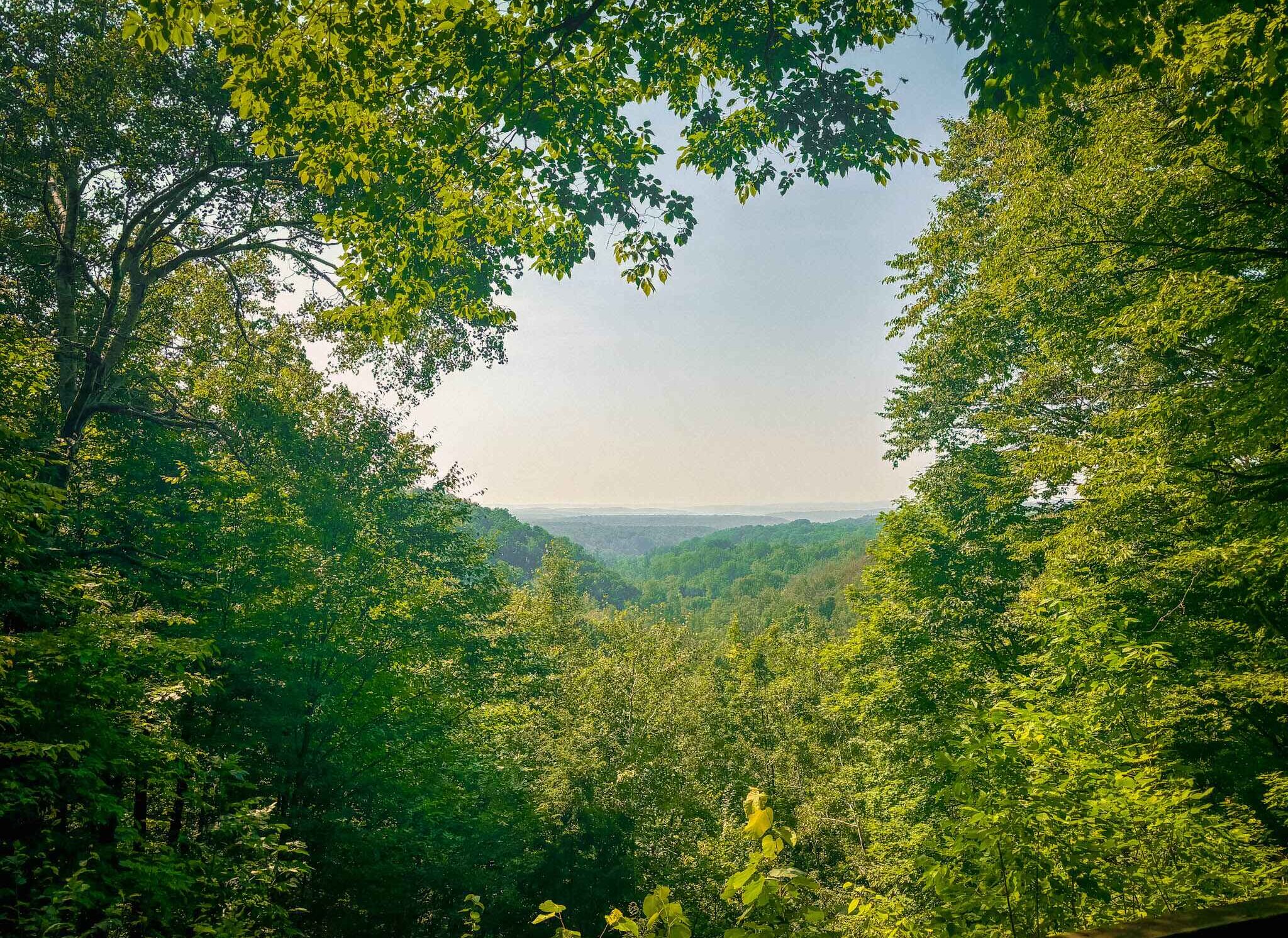 View from landslide overlook on the Jordan River Pathway