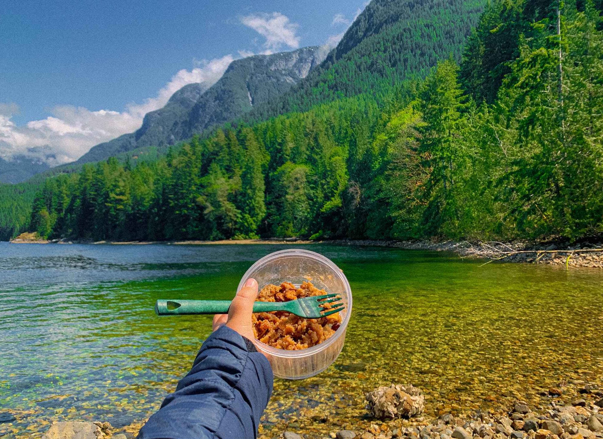 Camping meal ideas - a quinoa bowl in front of british columbia mountains