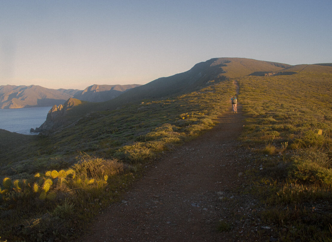 image of a hiker at dawn on catalina island in California