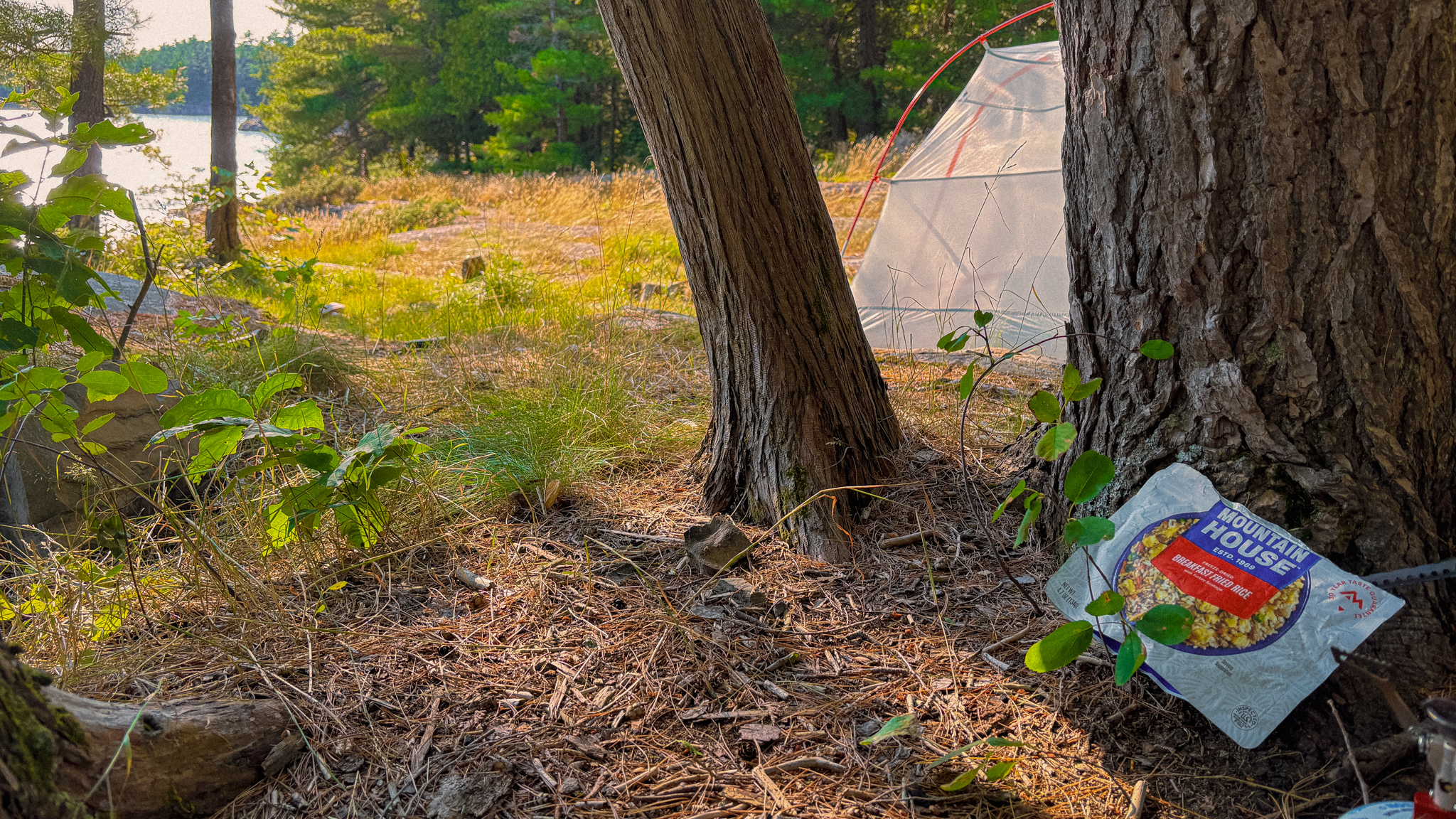 Image of a mountain house backpacking meal at a backcountry campsite